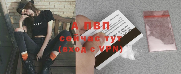 амф Сясьстрой