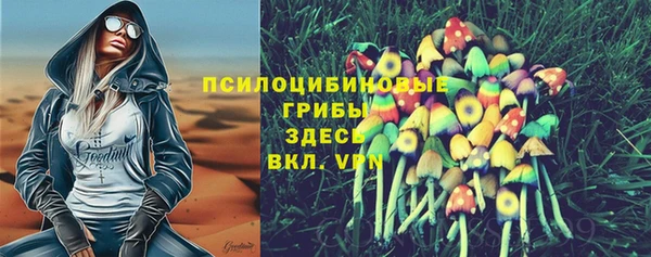 соль курить ск Тавда